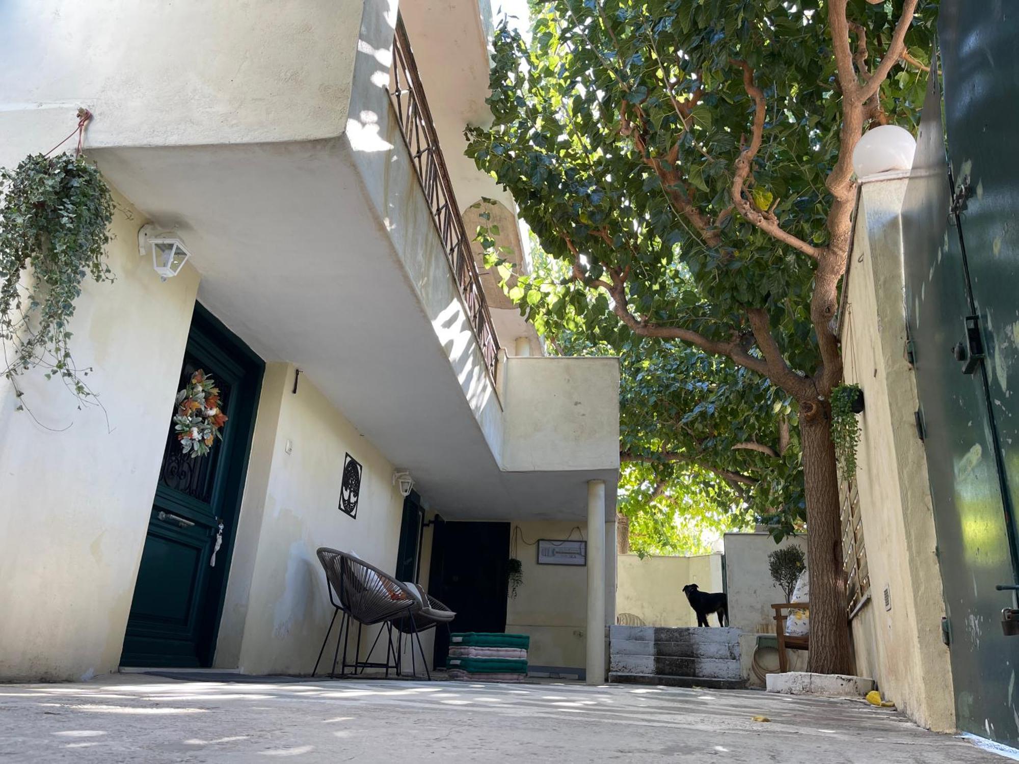Airport Cottage House アルテミダ エクステリア 写真